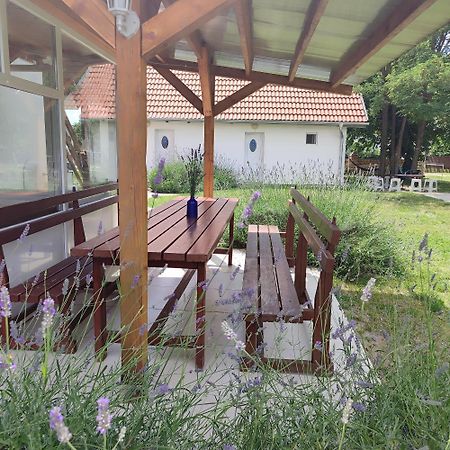 Mirella Rooms Palić Dış mekan fotoğraf