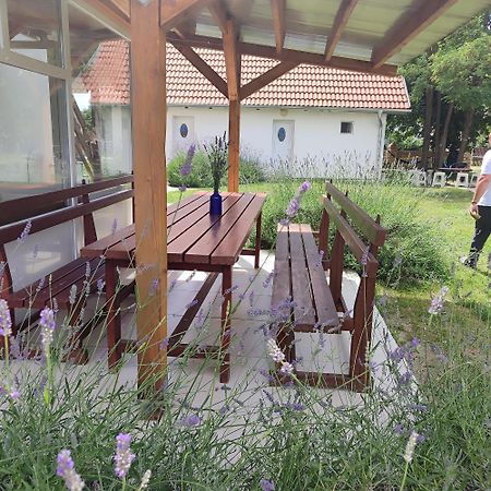 Mirella Rooms Palić Dış mekan fotoğraf